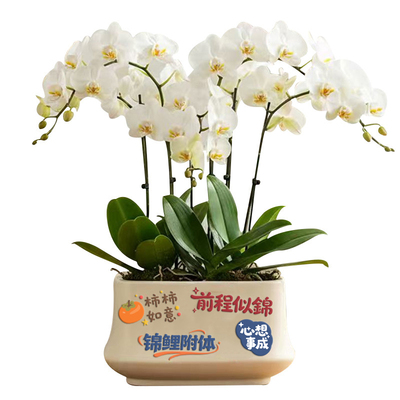 中国风花盆花瓶贴纸防水