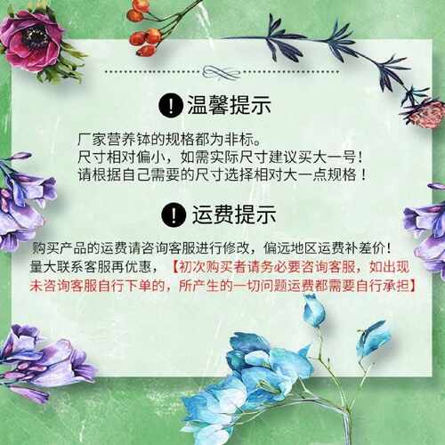加厚加高脐橙杯特厚柑橘杯方口育苗杯柑橘营养钵塑料黑色