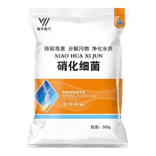 硝化细菌水产养殖生物降解氨氮亚硝酸盐分解粪便净化水质