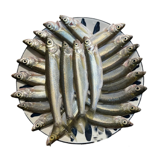 丹江口[餐条鱼]小白条鱼新鲜现杀刁子油炸淡水小河鱼鲜活杂鱼翘嘴