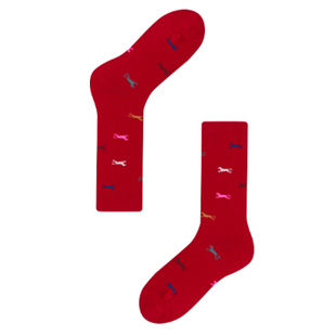 AR袜子女款马年平安袜本命年礼物中筒袜新年红色秋冬季保暖袜礼盒