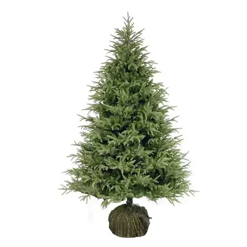 真的圣诞树真树活的云杉圣诞树盆栽大型小型2023新款圣诞树诺贝松