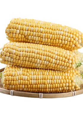新鲜甜玉米棒云南双色水果玉米蔬菜当季农家带皮带壳带玉米须现摘