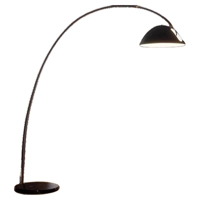 全光谱钓鱼灯落地灯卧室地毯氛围灯客厅极简网红立式落地台灯轻奢