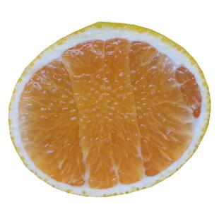 建阳桔柚新鲜水果桔子福建甜橘柚礼盒装大果非庆元会昌10斤包邮