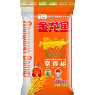 金龙鱼软香稻苏北大米射阳大米 绵软香醇 正宗粳米