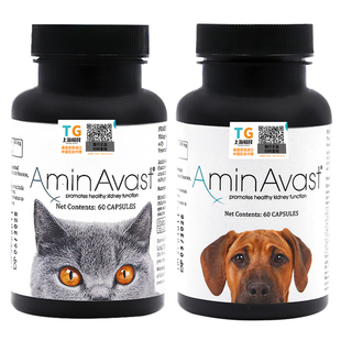 美国aminavast肾衰停安心停胺肾狗肾脏降磷肾透活肾犬猫肾炎肾衰