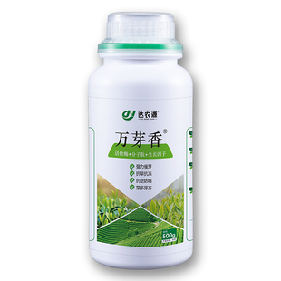 万芽香催芽促进生长壮芽提质增产芽头壮苗水溶肥微生物有机肥