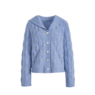 阔色慵懒风蓝色海军翻领针织衫女2026春季新款毛衣开衫外套秋冬