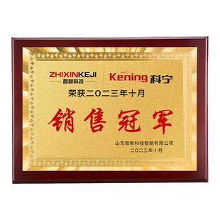 【月嫂奖杯牌匾】奖牌定制定做企业木质授权牌牌匾定制金箔奖牌