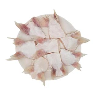 新鲜巴沙鱼鳍鱼翅回鱼芒鱼鮰鱼刺翅鱼腩冷冻海鲜水产烧烤商用批发