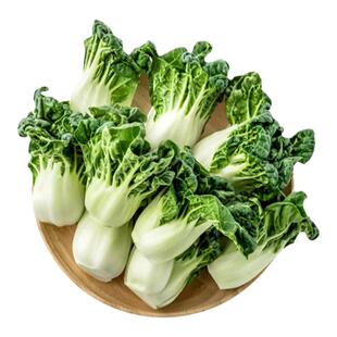 奶白菜新鲜蔬菜宁夏供港学斗鹤斗白迷你矮脚牛奶白菜奶油白菜
