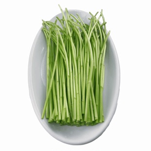 芦蒿菜新鲜去叶当季蔬菜净菜藜蒿农家泥蒿黎蒿耗篱蒿离蒿苔菜