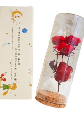 大号小王子的玫瑰花 干花永生花礼盒圣诞节送女生礼物许愿玻璃瓶