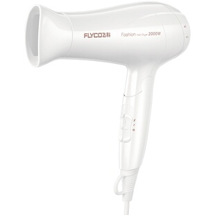 飞科高速电吹风机家用负离子速干快护发恒温宿舍大风力风筒FH6370