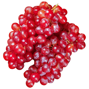 克伦生无籽葡萄新鲜水果当季现摘脆甜无籽红提玻璃脆葡萄顺丰包邮