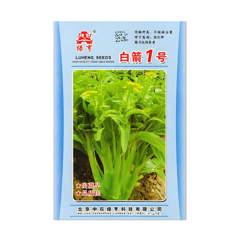 绿亨白箭1号白菜苔种子
