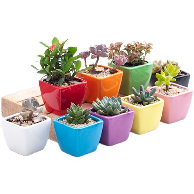 多肉花盆哥窑陶瓷透气大号冰裂组合阳台清新创意办公桌特价清仓盆