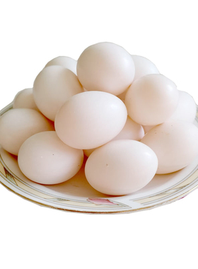 顺丰包邮新鲜鸽子蛋精选大号鸽蛋农家散养白鸽蛋30枚个装宝宝孕妇