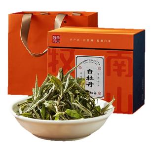 南山牧云2023年深山初露白牡丹花香馥郁高山老树福鼎老白茶春茶叶