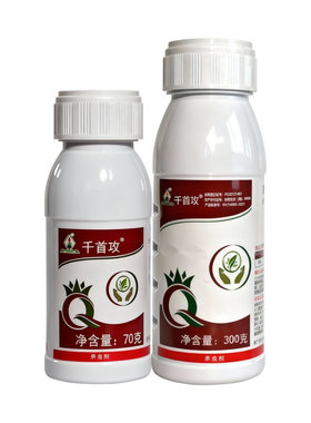 长青2.5%高效氯氟氰菊酯功夫茶树茶尺蠖农药杀虫剂上市品牌千首攻