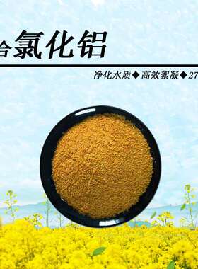 四川聚合氯化铝 厂家直营 LJ-11絮凝剂 净水剂 PAC 27%含量 成都