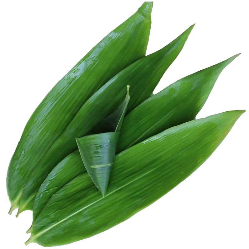 现摘特大箬竹粽叶200片送粽绳