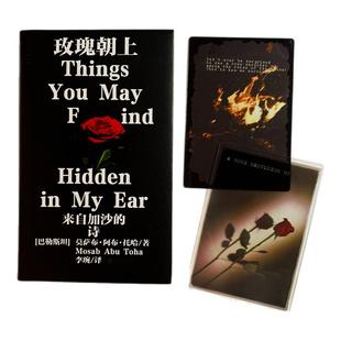 玫瑰朝上：来自加沙的诗 普利策奖得主作品 90后巴勒斯坦 未读