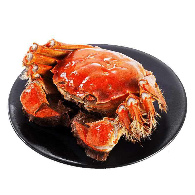 蟹游记螃蟹大闸蟹精品