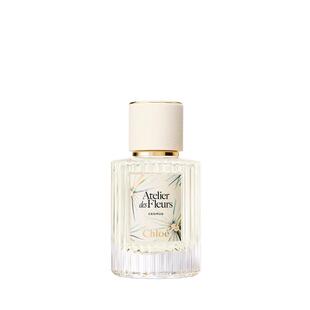 【马柏全同款】Chloe蔻依仙境花园系列北国雪松限定香氛护理套组