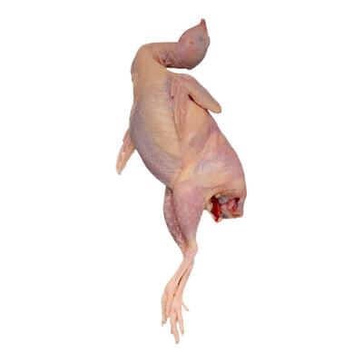 特大鹌鹑新鲜鹌鹑肉整只散养3两
