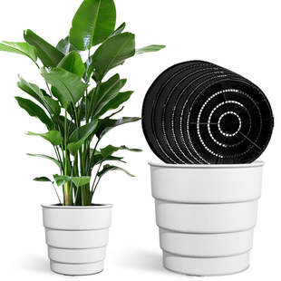 美莳天堂鸟专用花盆树脂透气超陶瓷塑料鹤望兰控根盆客厅绿植盆栽