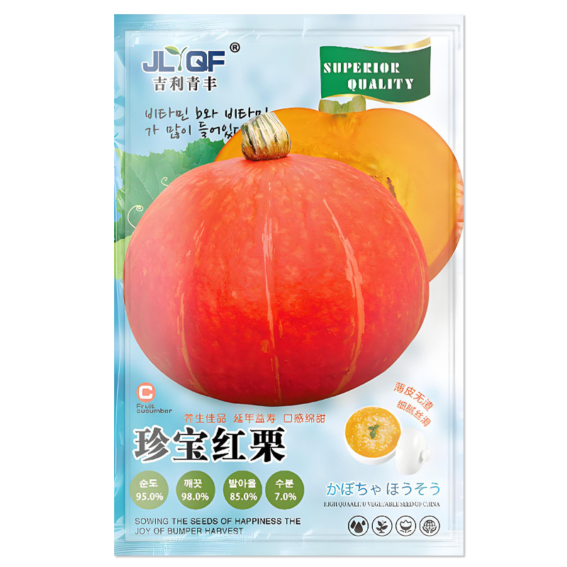 珍宝红栗南瓜种子板栗小南瓜