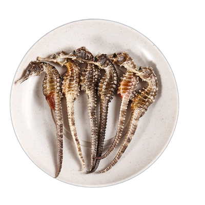 泡酒海马中药饮片一公一母海马