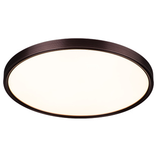 卧室灯吸顶房间浪漫极简书房灯圆形现代餐厅智能网红高级灯具