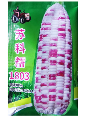 苏科糯1803国审彩花糯玉米种子