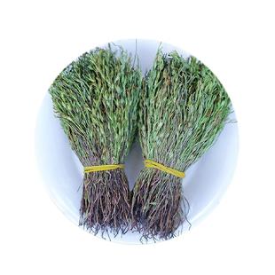 野生独脚金中药材正品新鲜独角金疳积草正宗儿童开胃煲汤独脚金干