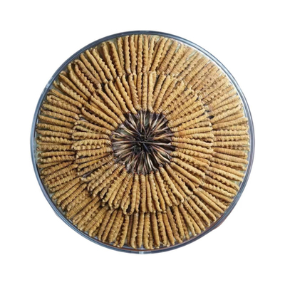 正宗原产地野生虫草干货礼盒装