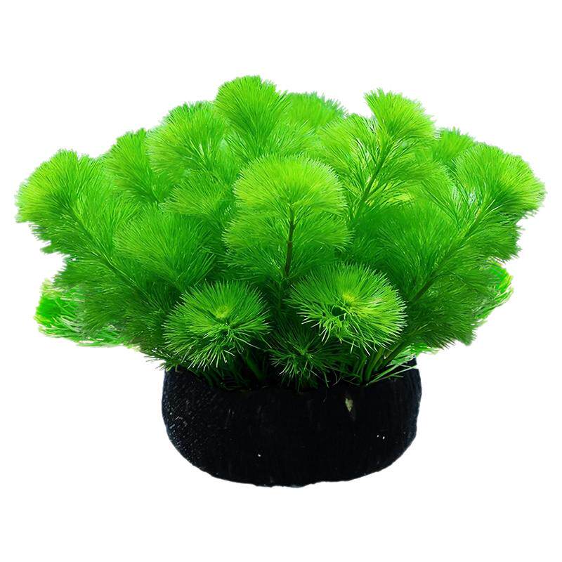 绿菊水草植物坨草鱼缸造景中后景装饰淡水阴性净水蜈蚣草大坨绿植