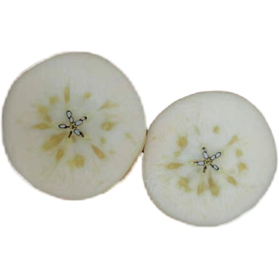 大沙河丑苹果红富士冰糖心净十斤