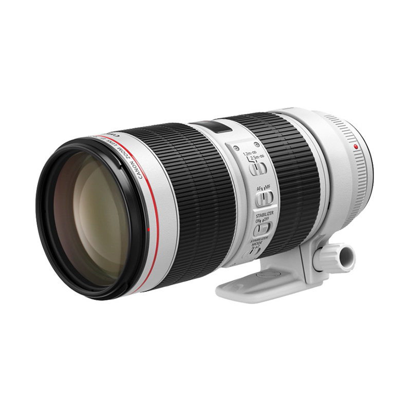二手佳能EF 70-200mm F4F2.8小白兔小白伞全画幅远摄变焦单反镜头