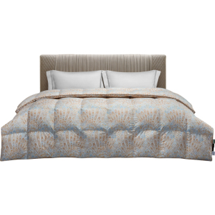 ROYALCOVER/罗卡芙露琪亚分区保温95%匈牙利鹅绒冬被芯春秋被子