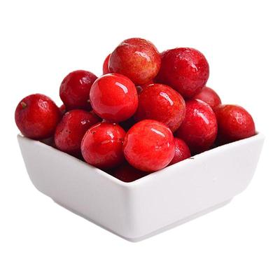 钙果苗紫冠欧李农大鲜食耐寒结果