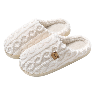 买一送一棉拖鞋女冬季2024新款