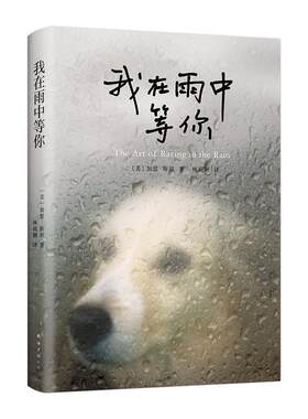 【新华书店旗舰店官网】正版包邮 我在雨中等你 (美)加思·斯坦(Garth Stein) 著 林说俐 译 外国文学小说畅销书籍 南海出版公司
