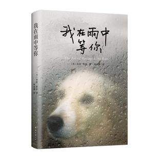 【新华书店旗舰店官网】正版包邮 我在雨中等你 (美)加思·斯坦(Garth Stein) 著 林说俐 译 外国文学小说畅销书籍 南海出版公司