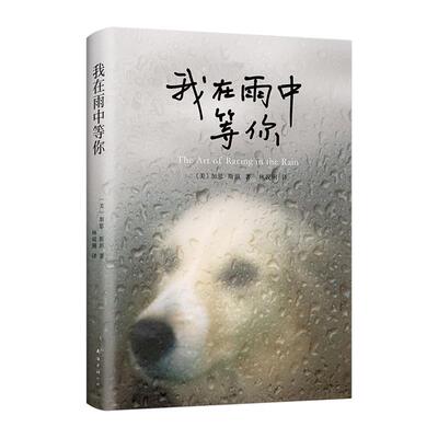 【新华书店旗舰店官网】正版包邮 我在雨中等你 (美)加思·斯坦(Garth Stein) 著 林说俐 译 外国文学小说畅销书籍 南海出版公司