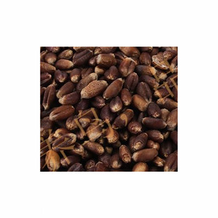 富硒黑麦 黑麦仁五谷杂粮黑小麦草种子500克新货精品鸟粮五斤包邮