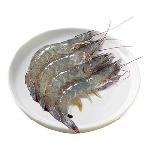 鲜活冷冻特大号海捕盐冻大虾厄瓜多尔基围虾青岛海鲜白虾王牌速冻