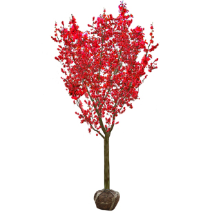 耐寒红梅花树苗地栽庭院浓香型四季花卉植物骨里红梅腊梅绿梅室外